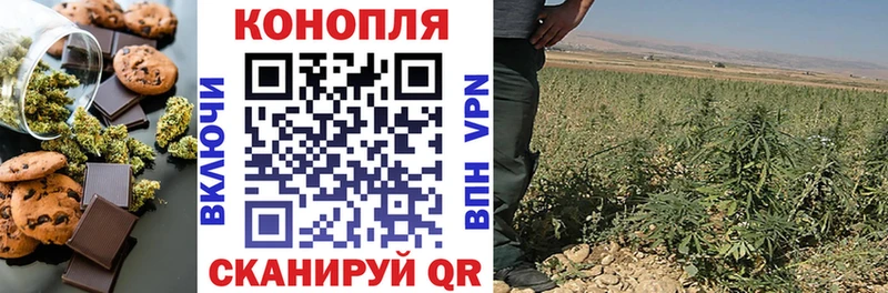 Canna-Cookies конопля  mega ТОР  Зея 