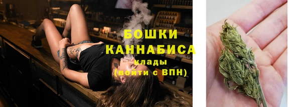 крисы Вязники