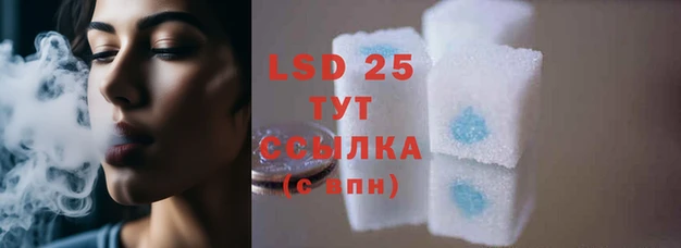 тгк Горняк