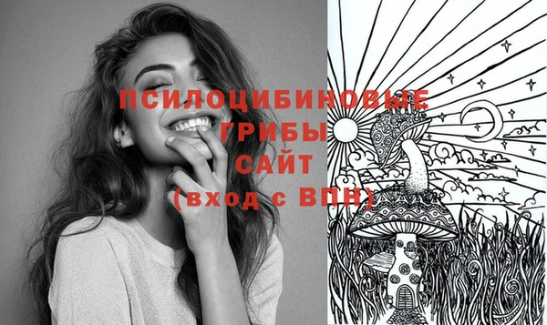 крисы Вязники