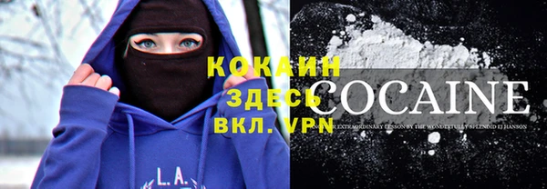 тгк Горняк